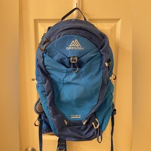 Gregory miwok 18L daypack in reflex blue